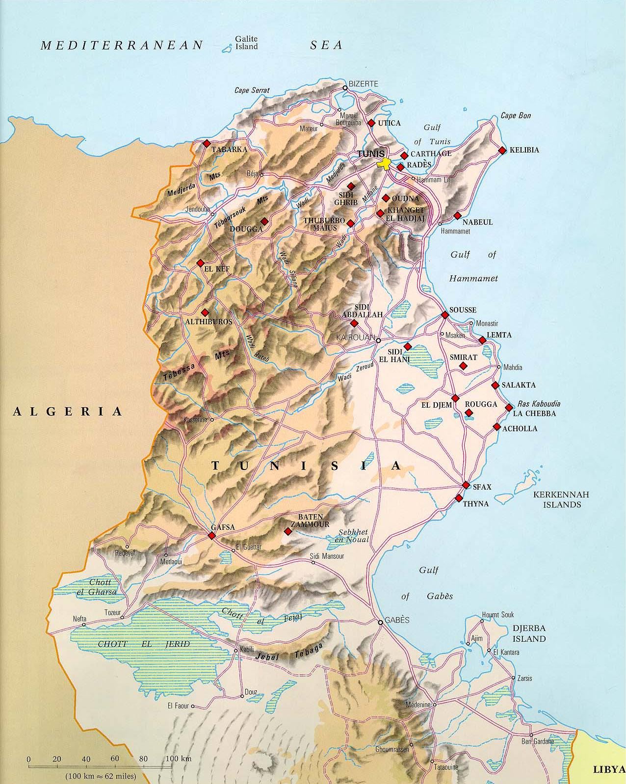 突尼斯地形图,突尼斯地图高清中文版