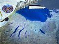 安大略湖卫星影象图