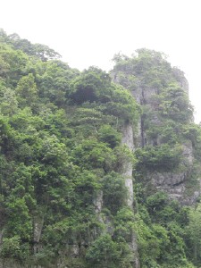 会同天气预报10天查询