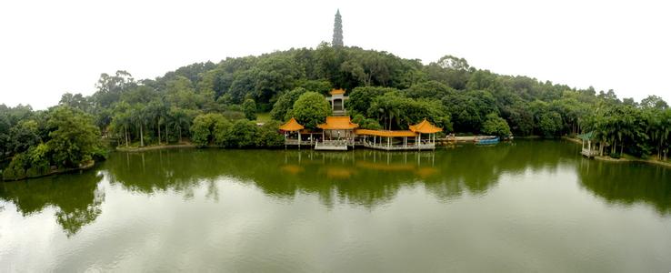 青秀天气预报10天查询