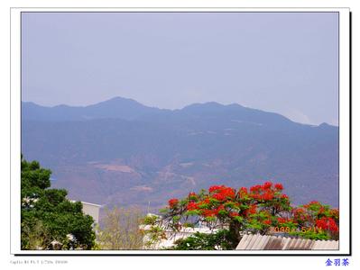 大理宾川天气预报_宾川天气预报一周7天10天15天大理宾川天气预报,宾川天气预报一周7天10天15天