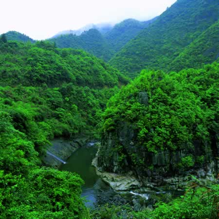 龙湾天气预报15天查询