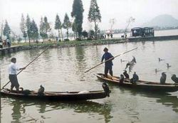 绍兴鉴湖天气