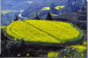 衢州南华山风景区