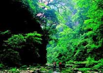 枣阳青龙山熊河风景区