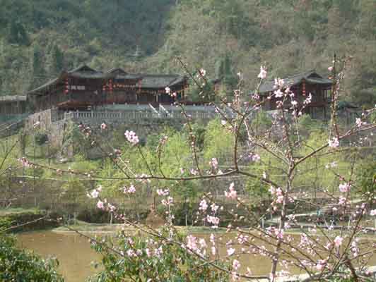 重庆酉阳桃花源天气