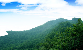 荆门大洪山绿林寨天气