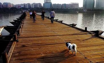 赣州古浮桥天气