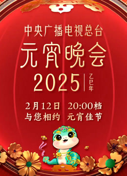 2025年中央广播电视总台元宵晚会封面图