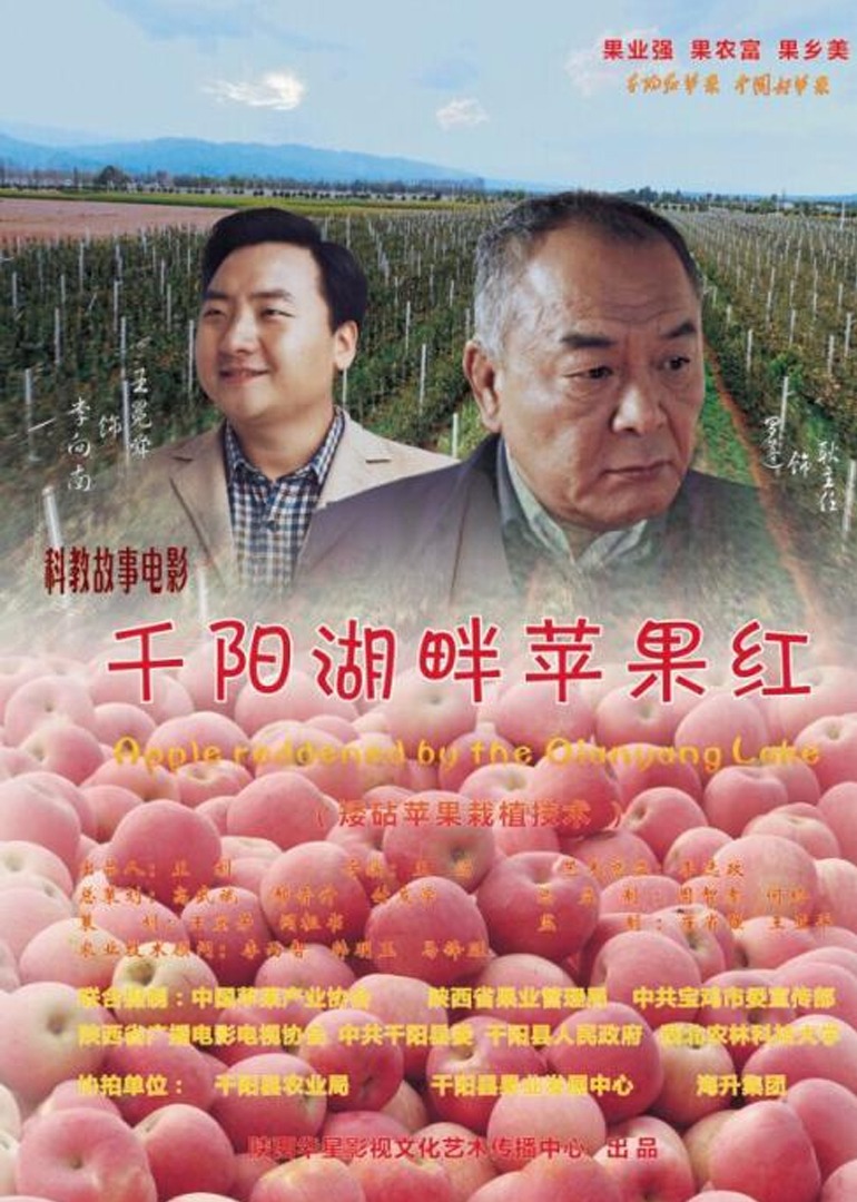 千阳湖畔苹果红封面图