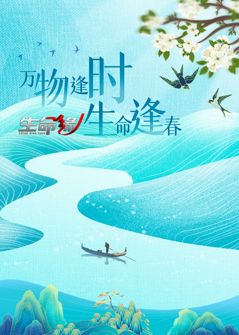 生命缘第十四季封面图