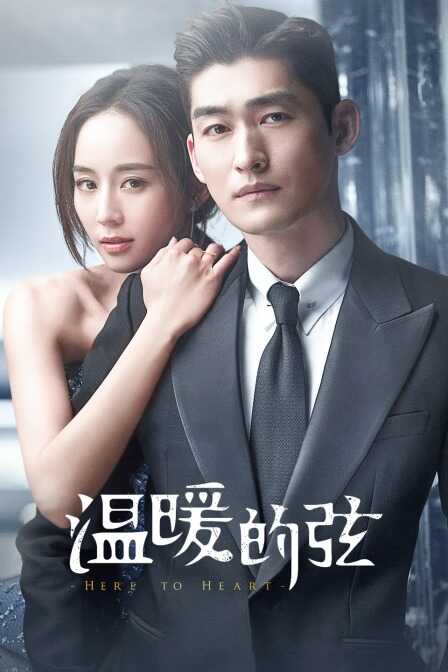 温暖的弦 TV版封面图