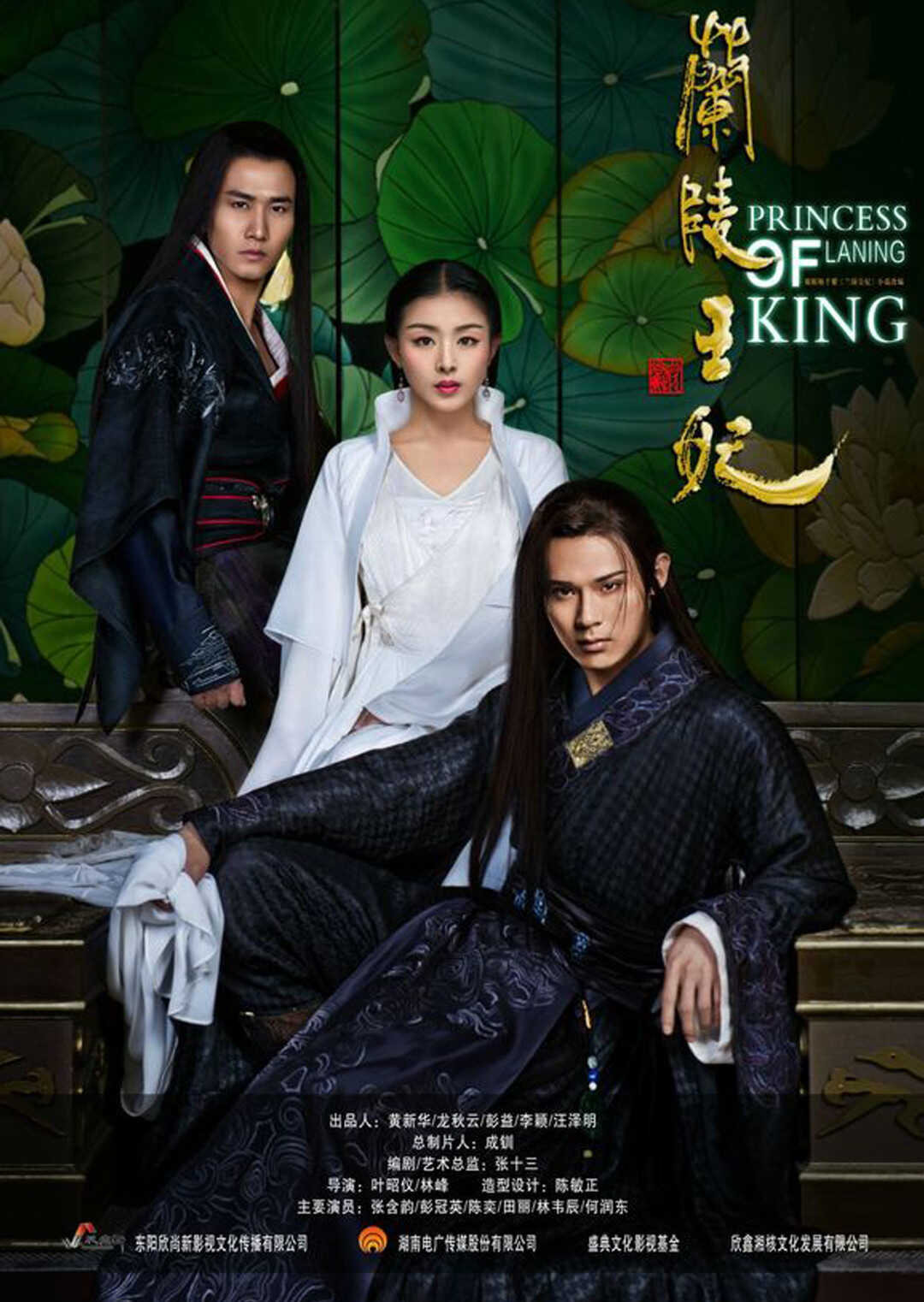 兰陵王妃 DVD版封面图