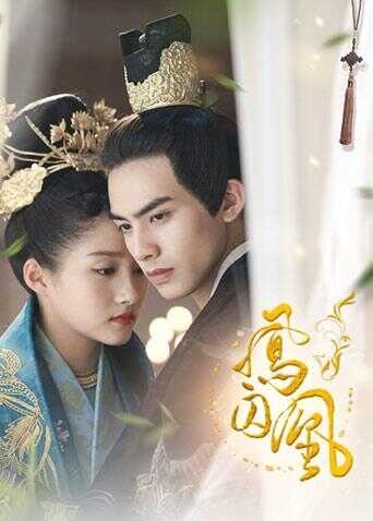 凤囚凰 DVD版封面图