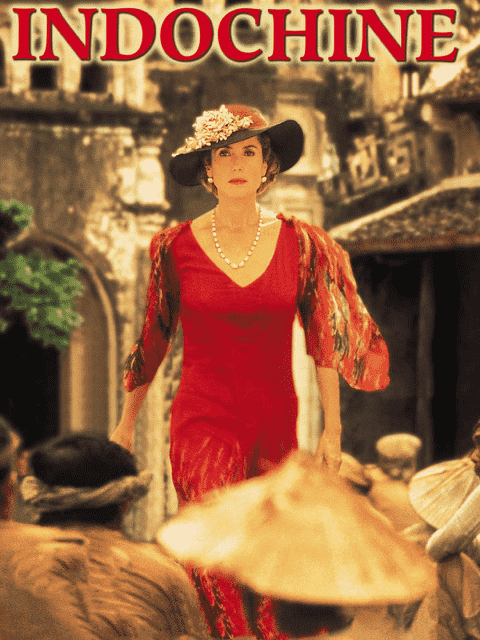 情证今生封面图