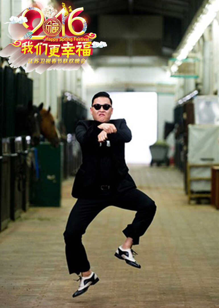 2016江苏卫视春节联欢晚会封面图