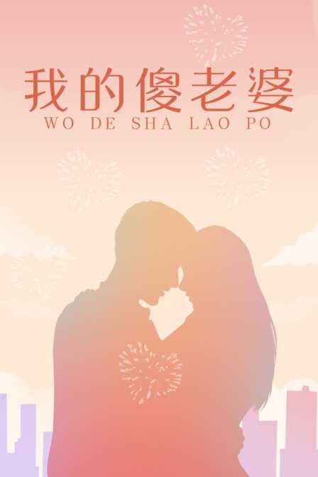 我的傻老婆封面图