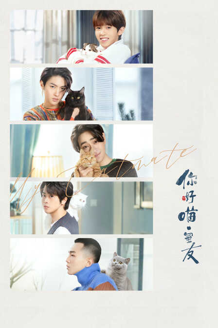 你好，喵室友封面图