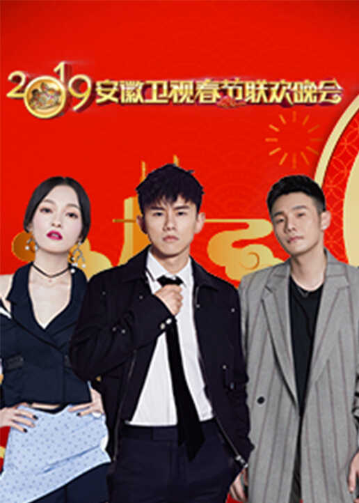2019安徽卫视春晚封面图