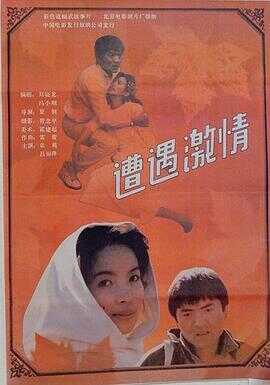 遭遇激情封面图