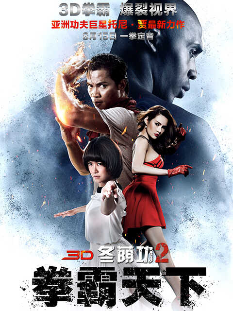 冬荫功2：拳霸天下封面图