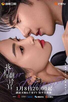 我们的翻译官封面图